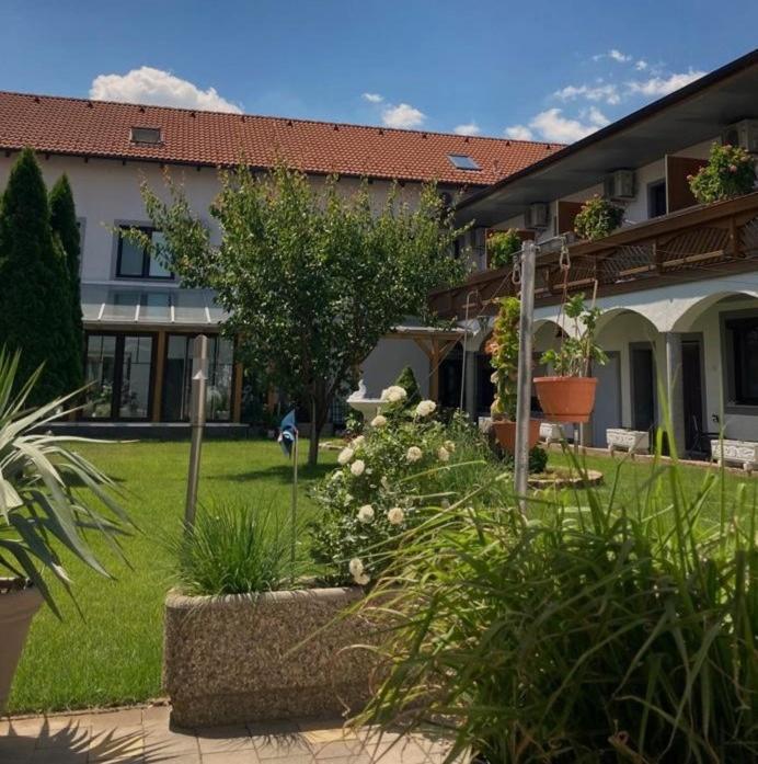 Gaestehaus Und Weinbau Zur Wiederkehr Strudler Podersdorf am See Exterior foto