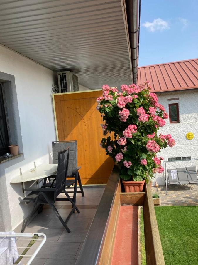 Gaestehaus Und Weinbau Zur Wiederkehr Strudler Podersdorf am See Exterior foto